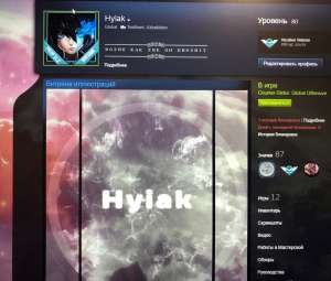 Продам прокаченный аккаунт стим 80lvl