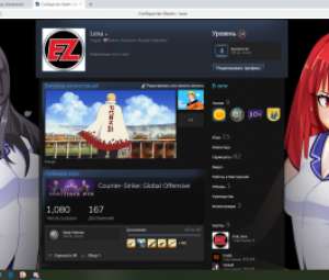 Продам аккаунт STEAM 24LVL С ИНВЕНТАРЕМ И ИГРАМИ
