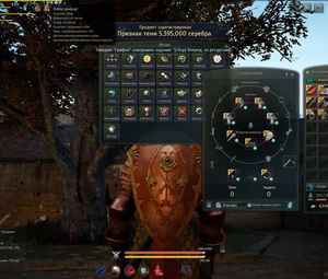 Продам аккаунт Black Desert Online