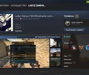 Продам аккаунт Steam с топовыми играми. Звание CS GO (GE).